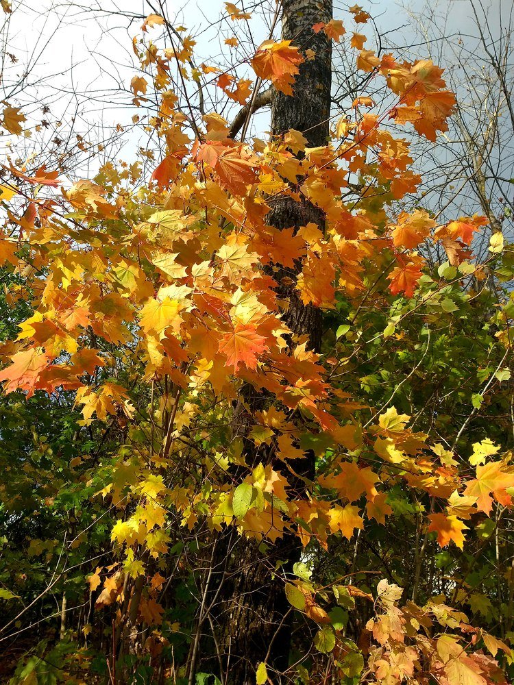 Photograph by Оксана Кочкова