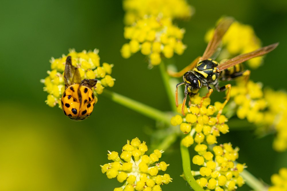 Photograph by Pucs Fongabe