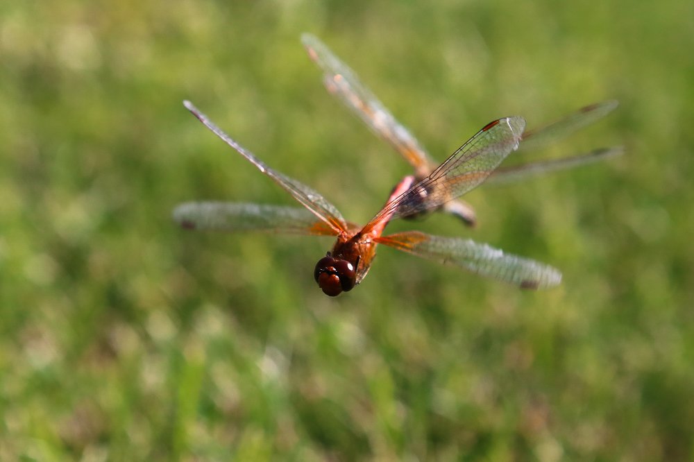 Photograph by Фёдор Передиреев