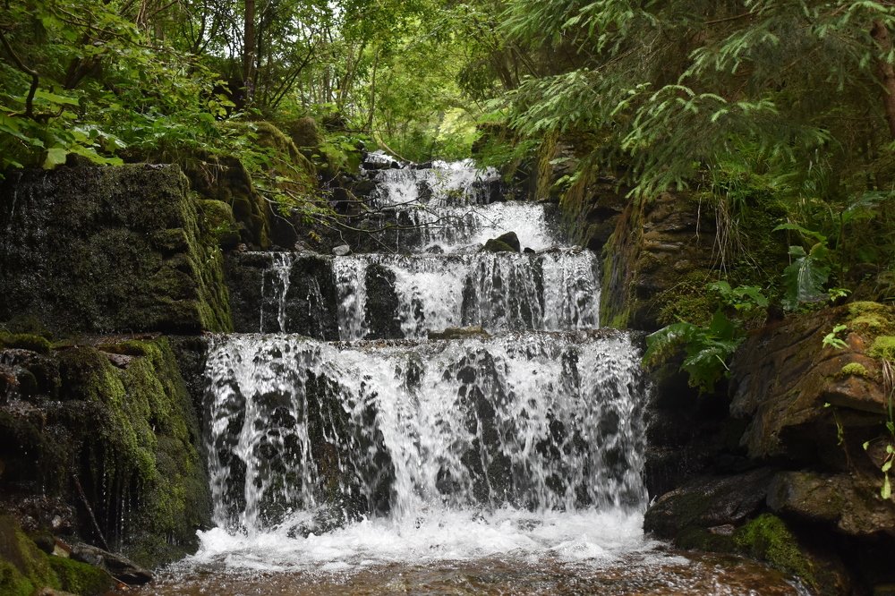 Photograph by Raduca Cosmin