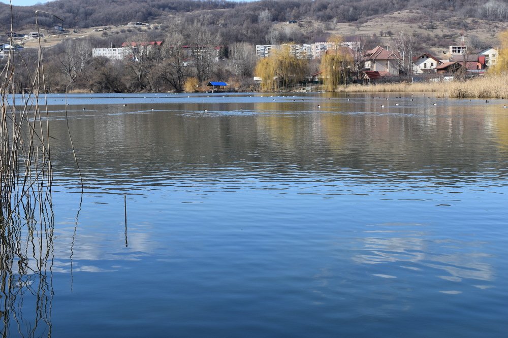 Photograph by Raduca Cosmin