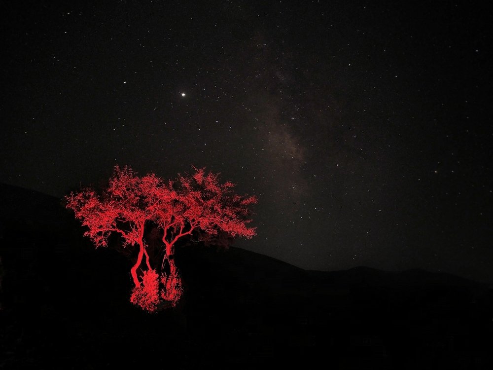 Photograph by kamiar hoseinipour