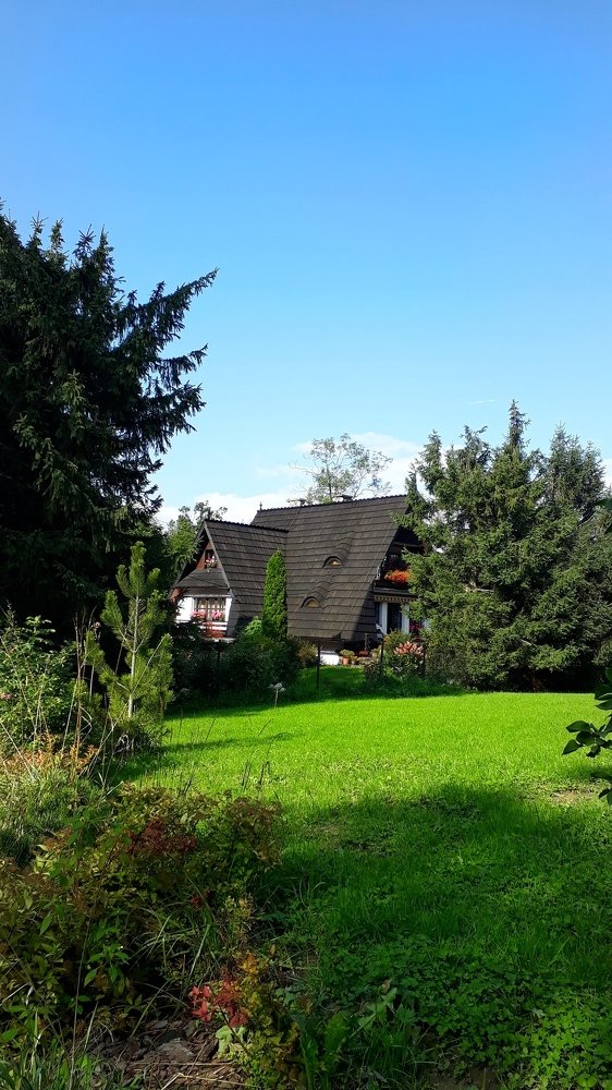 Photo #5097906