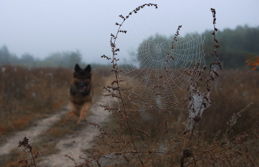 Photograph by Василий Малыш