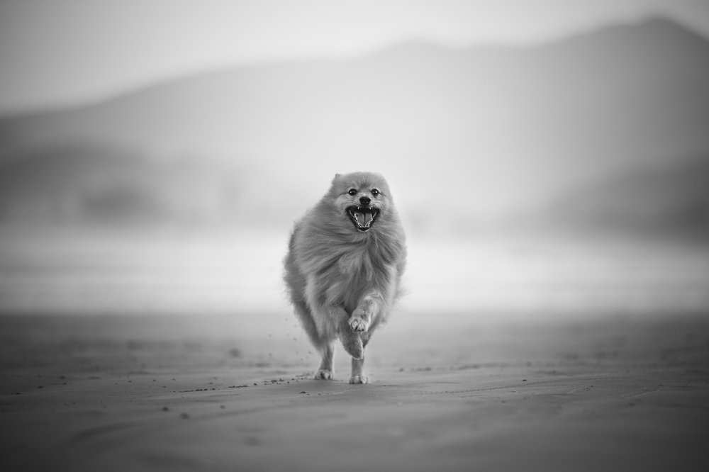 Photograph by Deise de Oliveira