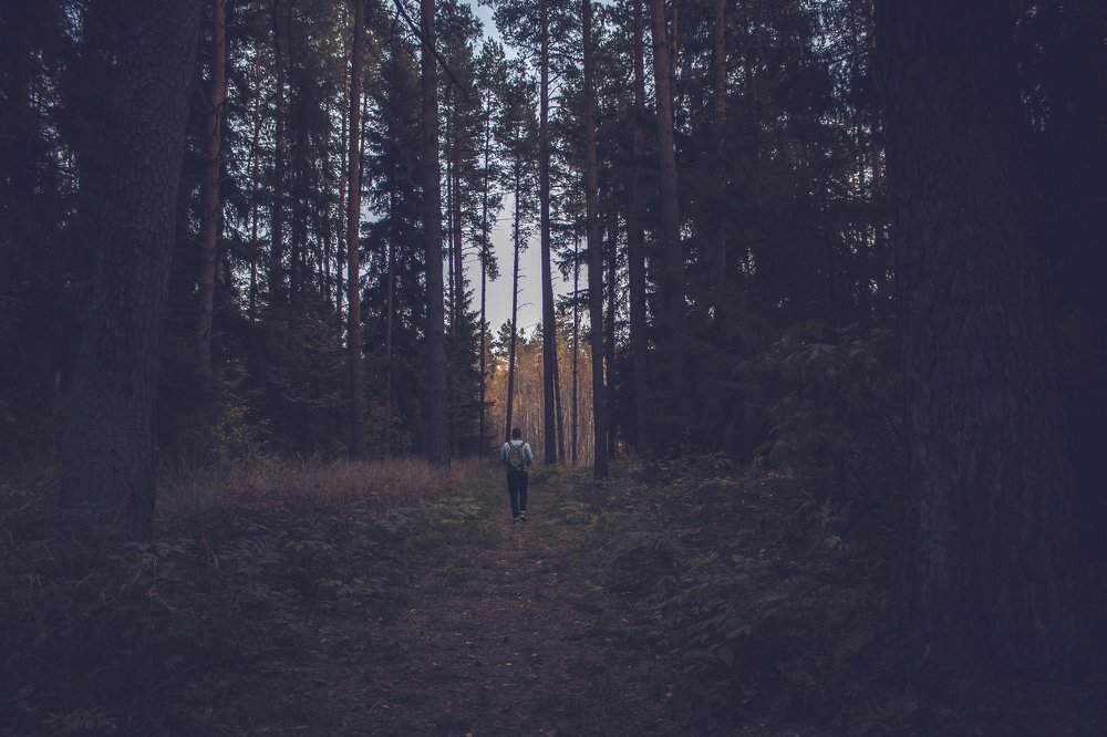 Photograph by Анастасия Голубева