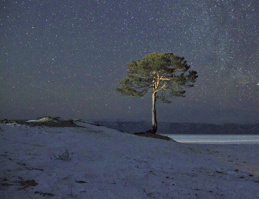 Photograph by Inga Butkovski