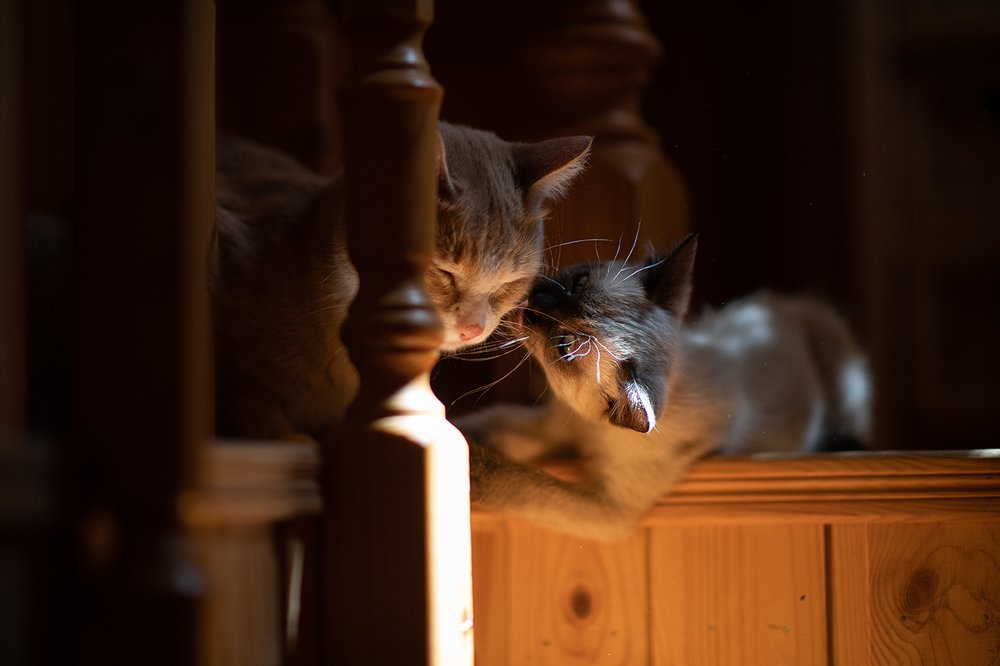 Photograph by Светлана Кужагалиева