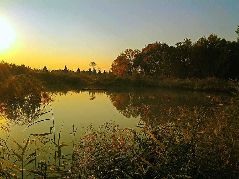 Старый пруд в закатных красках