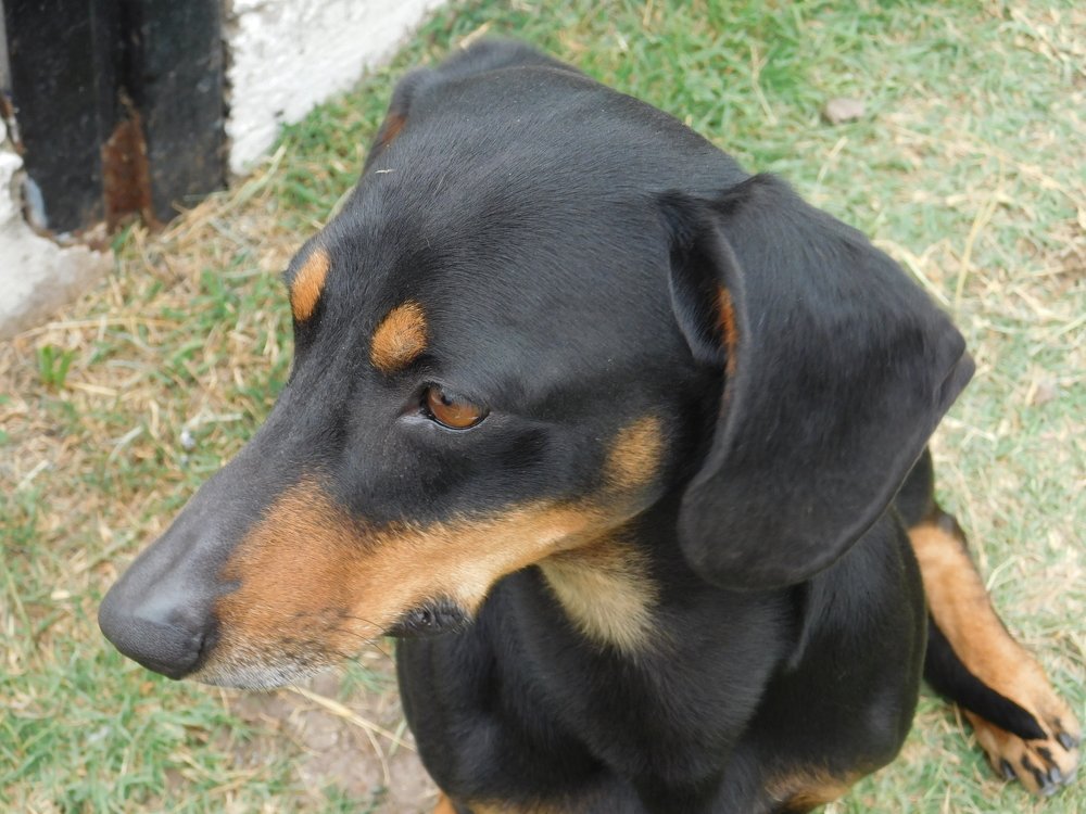 Photograph by Maria Celeste Efesi