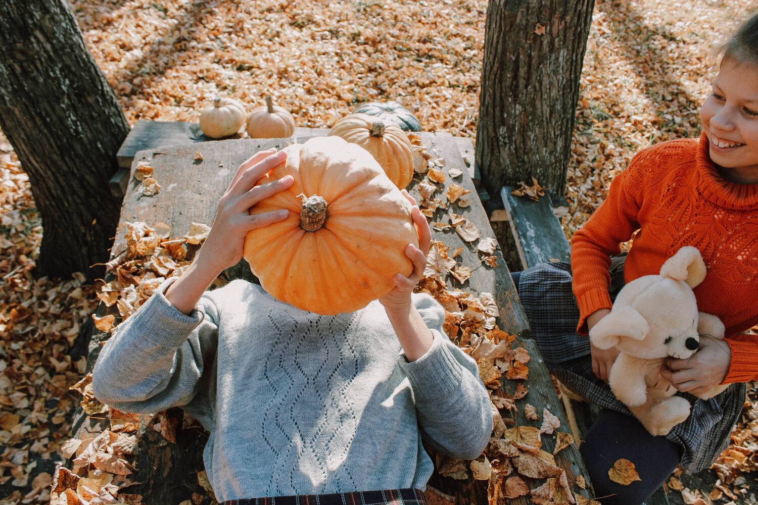 Photo #5098210