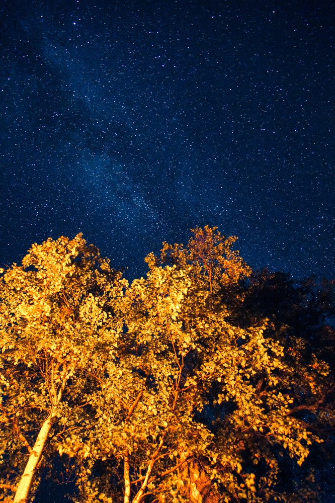 Photograph by Галина Петренко