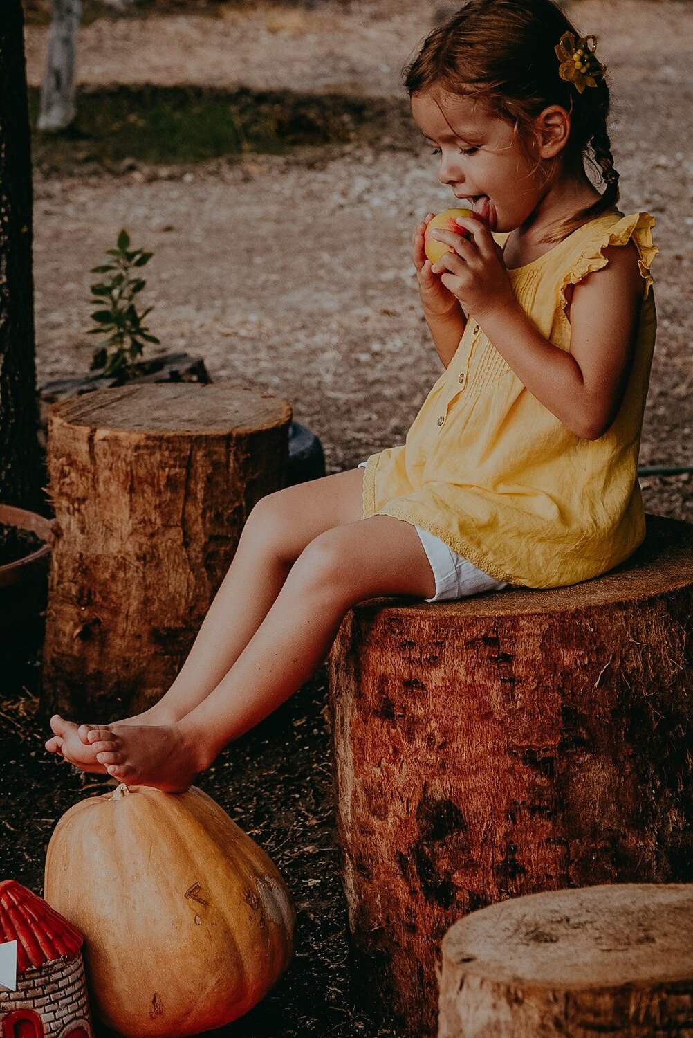 Photo #5098237