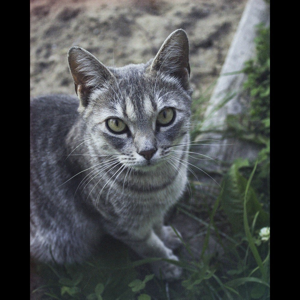Photograph by Dmitry Butusov