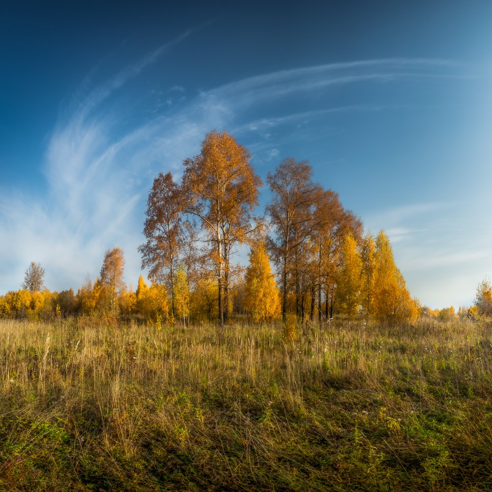 Фотография автора Панагушин Сергей