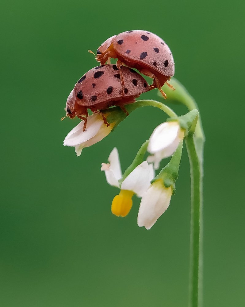 Photograph by Shankhadip Choudhury