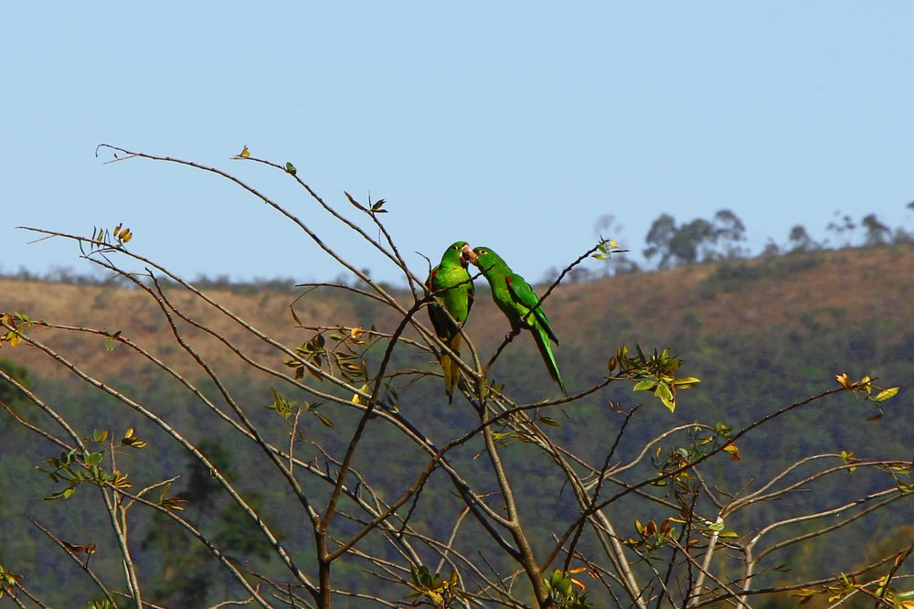 Photograph by Tatiana Barthem