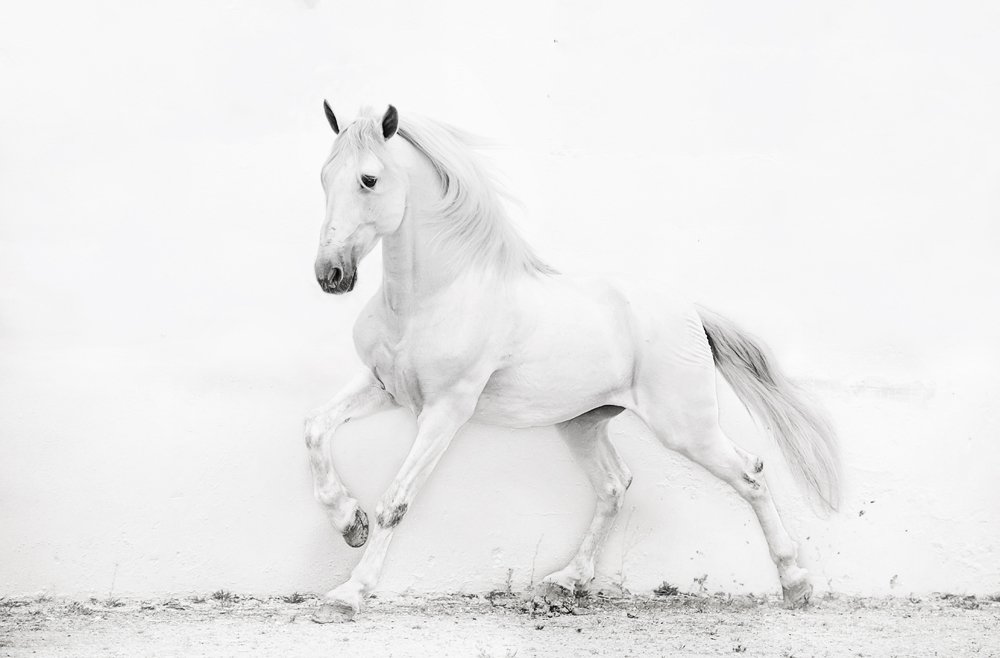 power of Andalusian