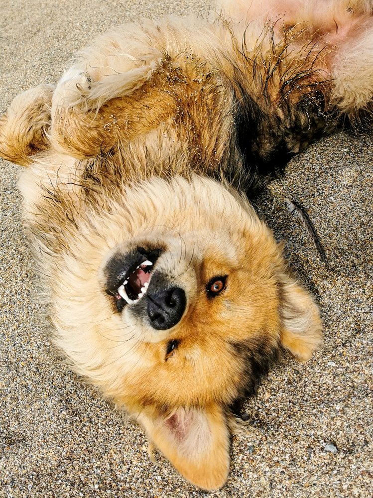 Photograph by Евгений Гусаков