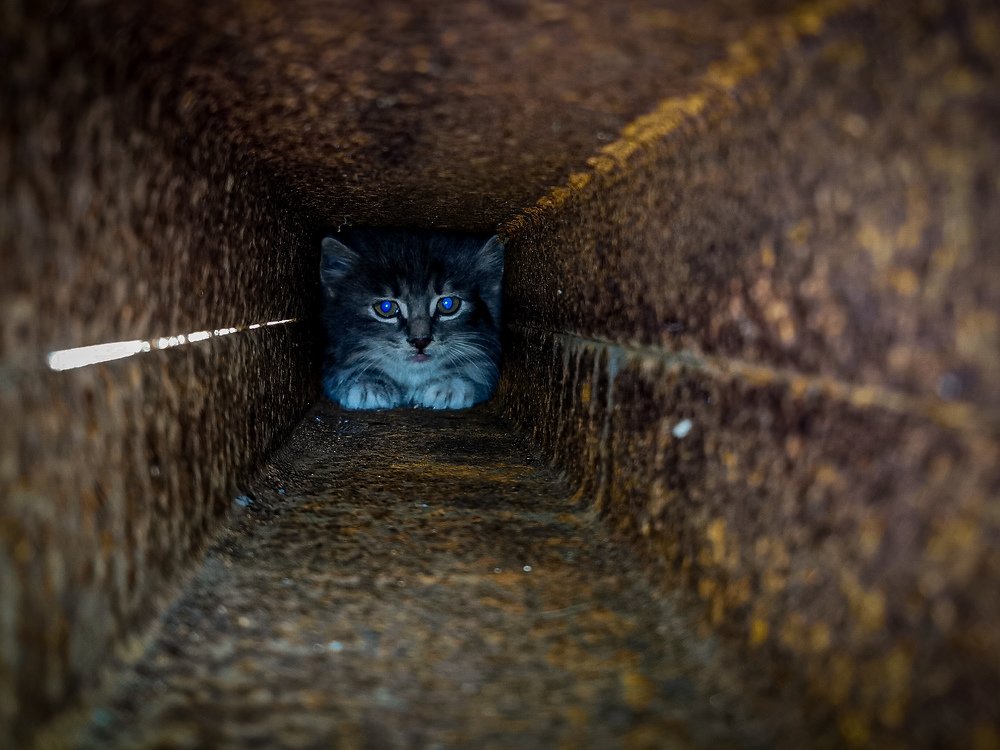 Photograph by Евгений Гусаков