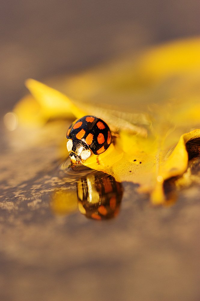 Photograph by Максим Иванов