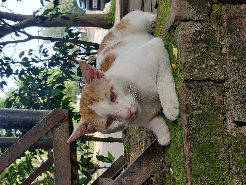 Photograph by Amit Singla