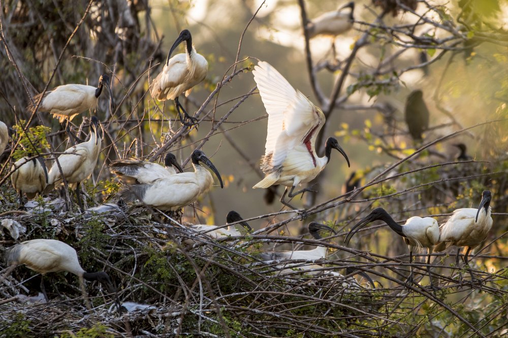 Фотография автора sathveegan