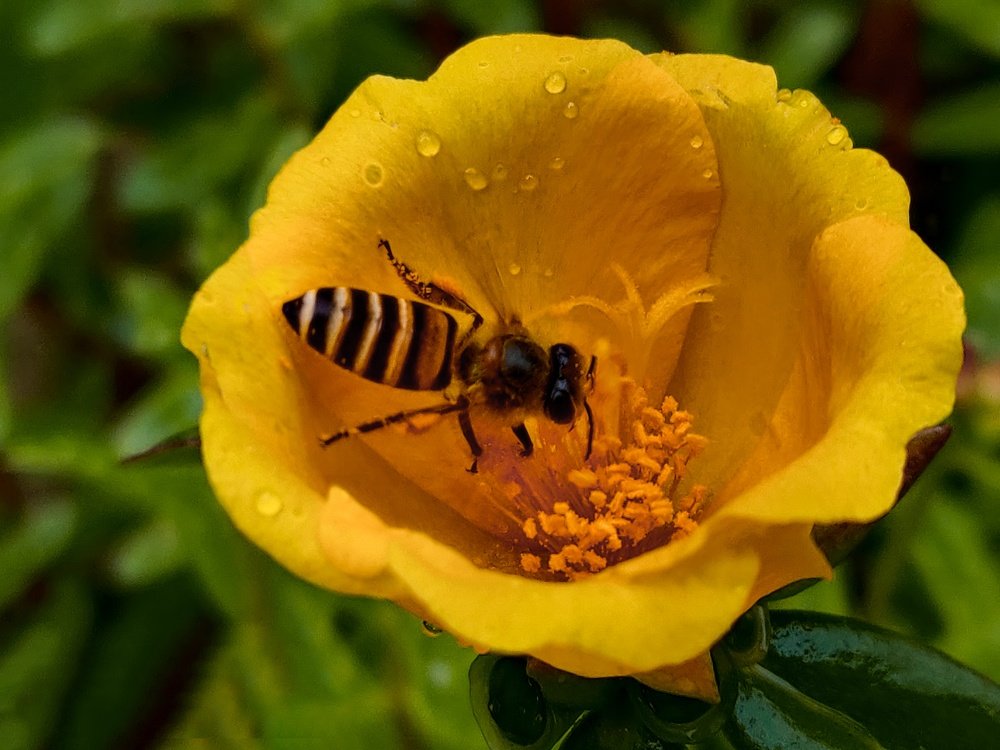 Photograph by Amit Singla