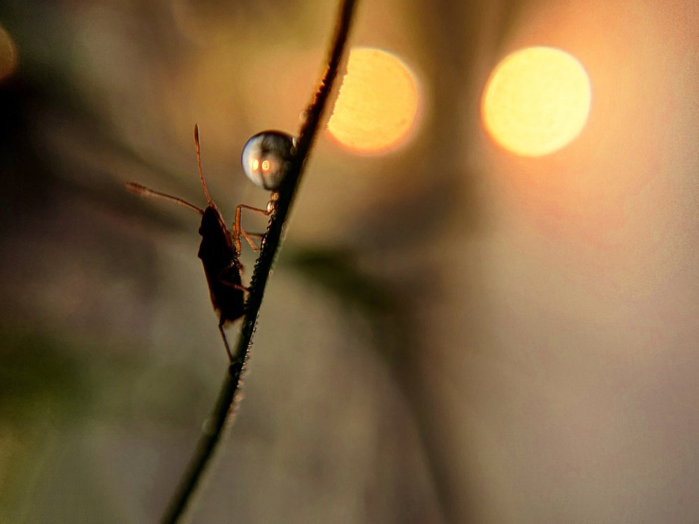 Photograph by Amit Singla