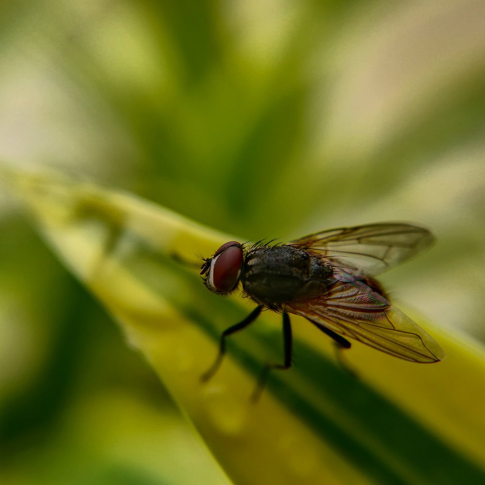 Photograph by Amit Singla