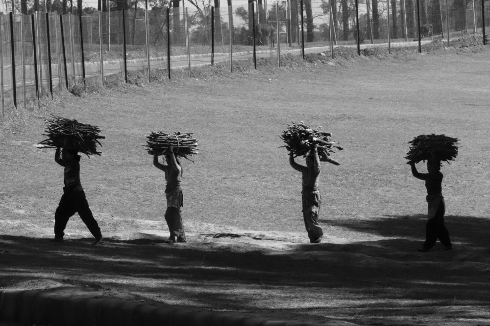 Photograph by Devendra Singh Parihar