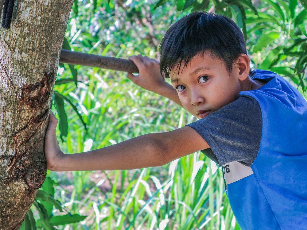 Photograph by Dat Nguyen