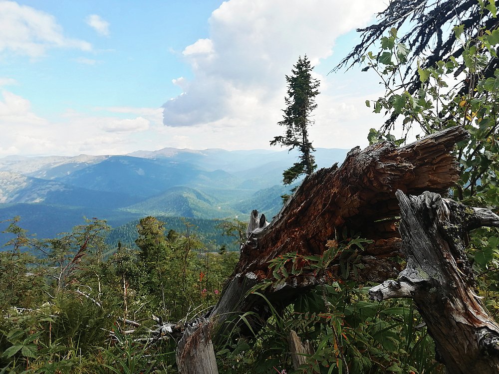 Photograph by Максим Иванов