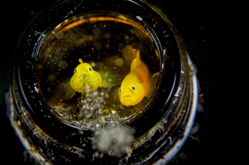 Photograph by EELIN Chan