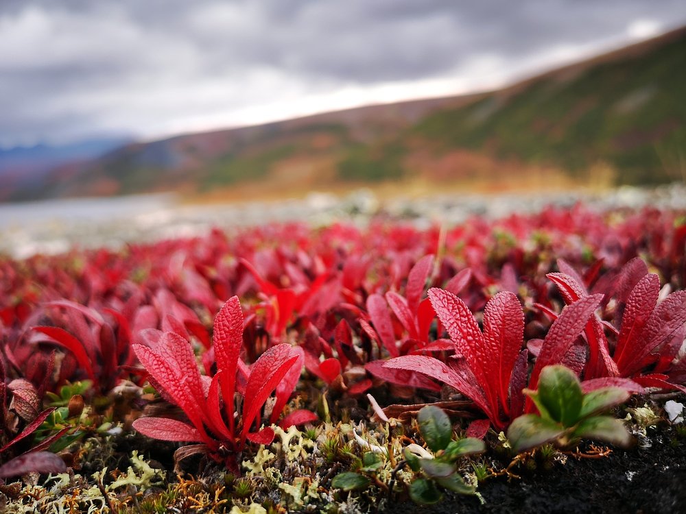 Фотография автора Кирилл Уютнов