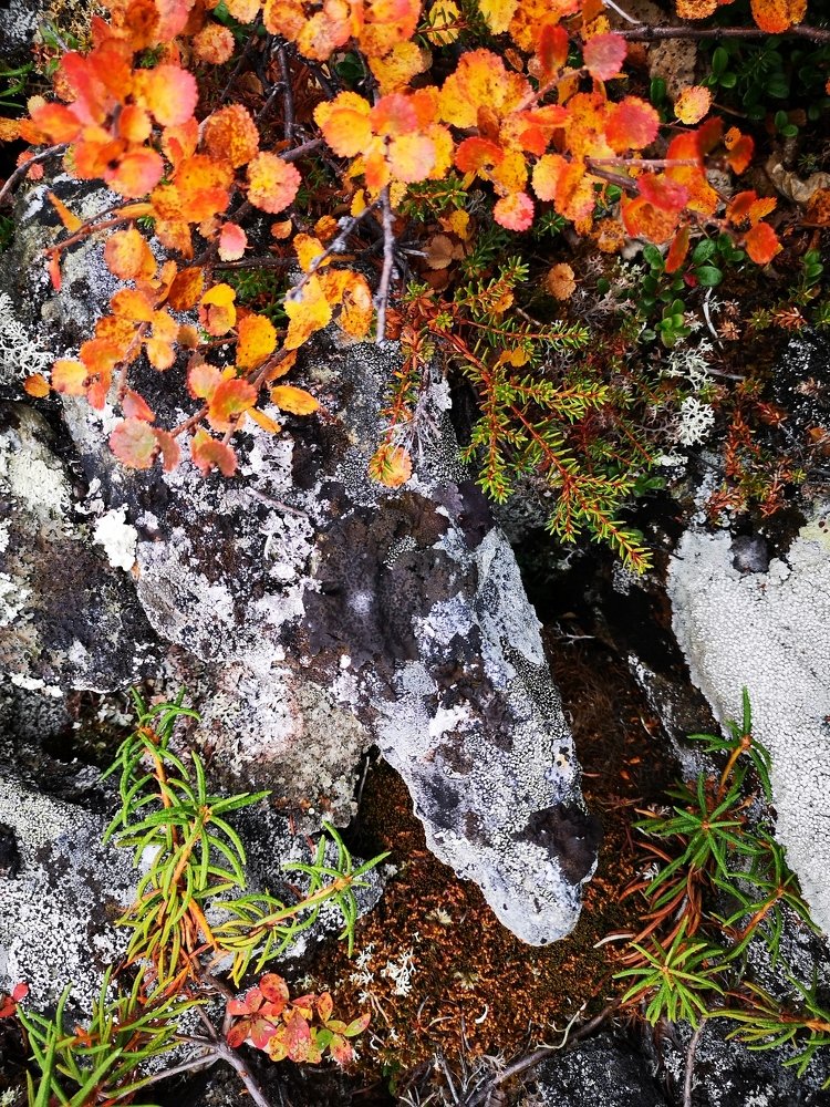 Фотография автора Кирилл Уютнов