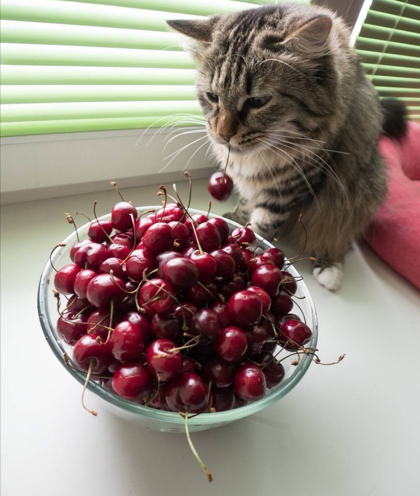 Photograph by Кристина Гареева