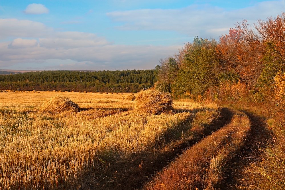 Photograph by Карякин Александр