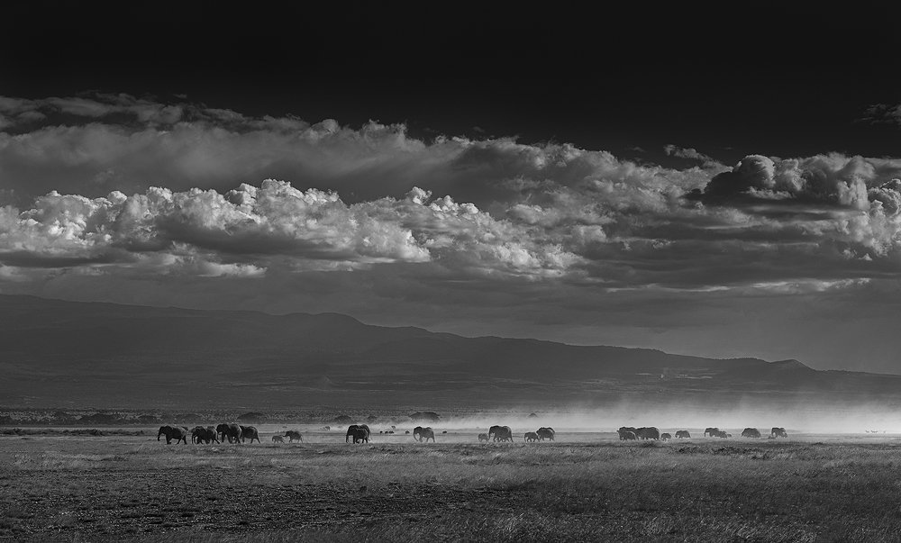 Фотография автора Ashok Behera