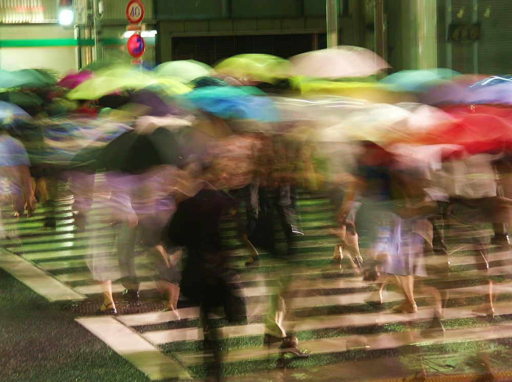 Фотография автора Pavel Bernshtam