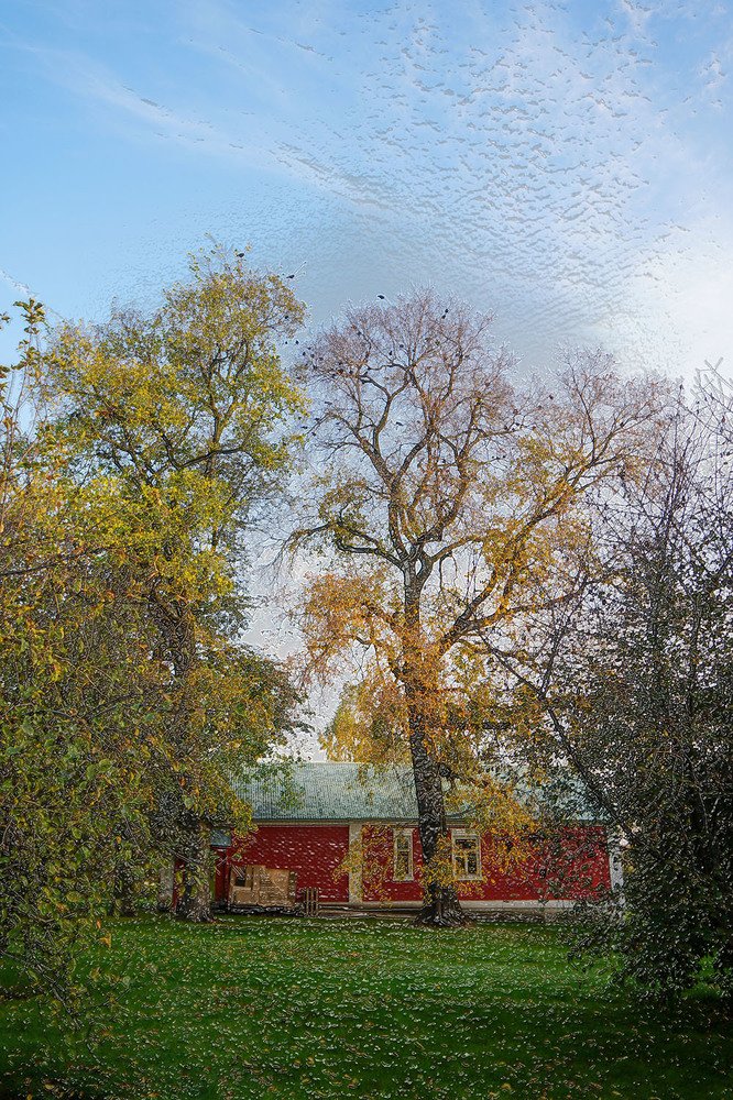 Photograph by Корженевская Лариса Анатольевна