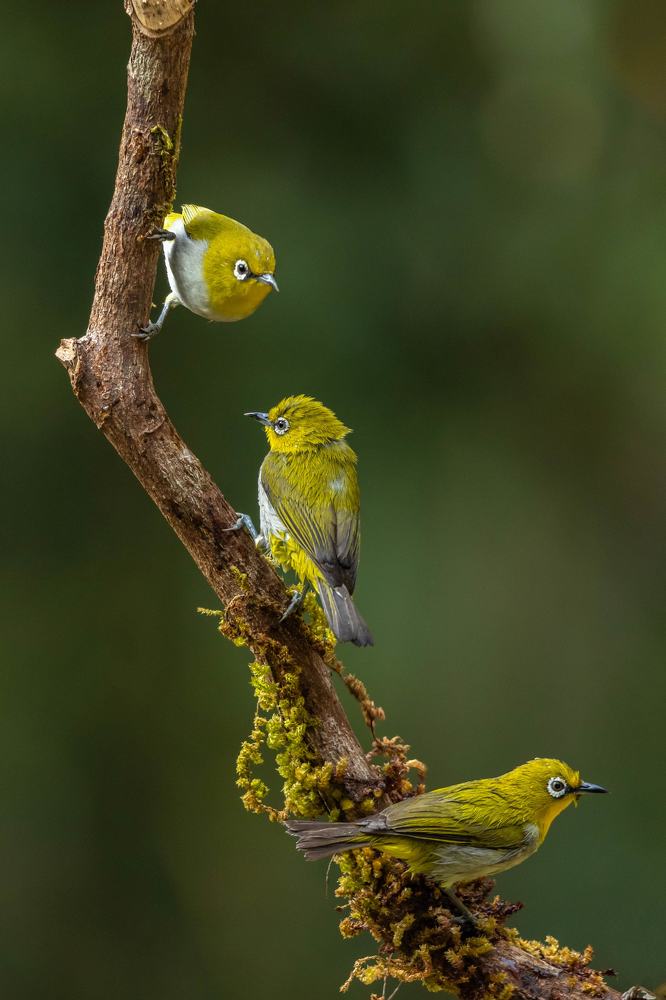 Photograph by Ashok Behera