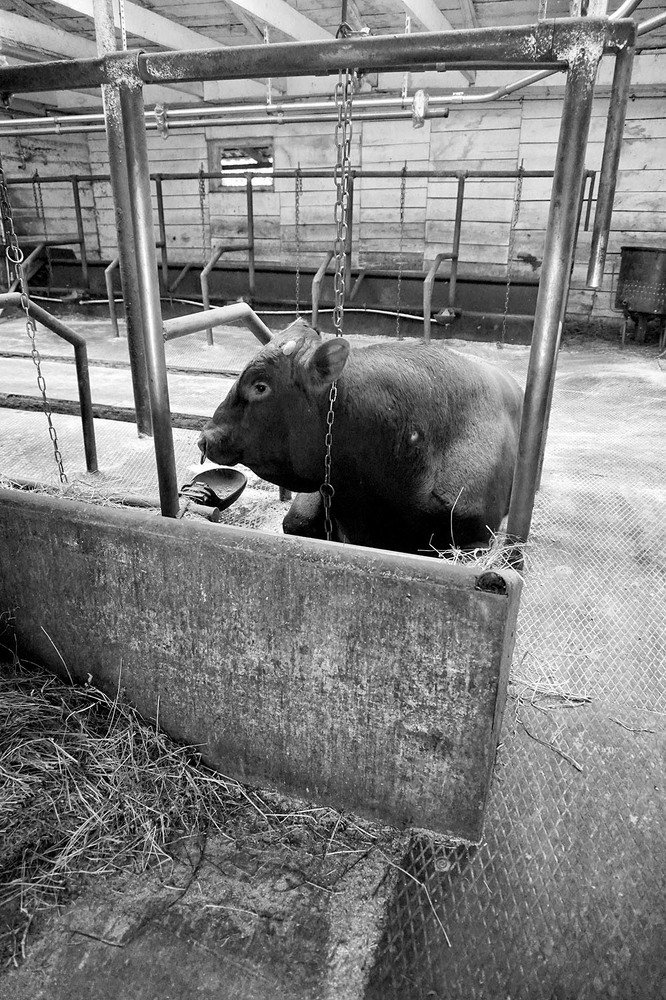 Photograph by Корженевская Лариса Анатольевна