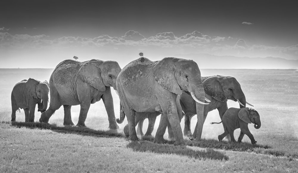 Фотография автора Ashok Behera