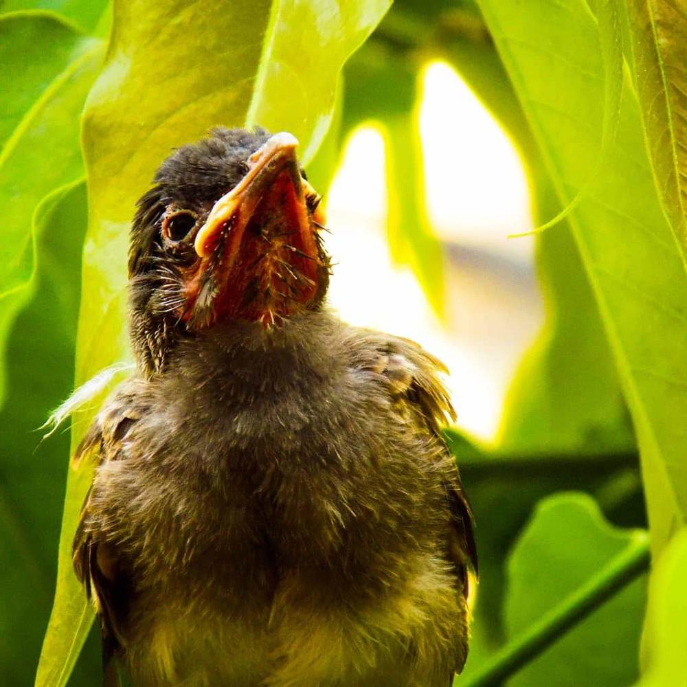 Photograph by urvashi khurana