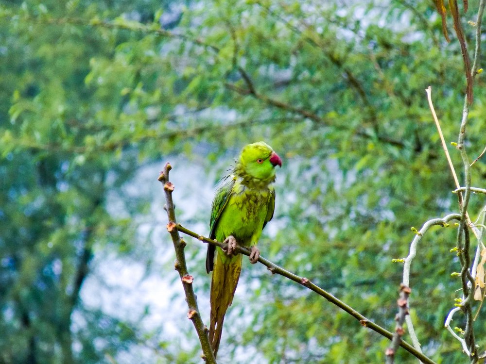 Photograph by urvashi khurana