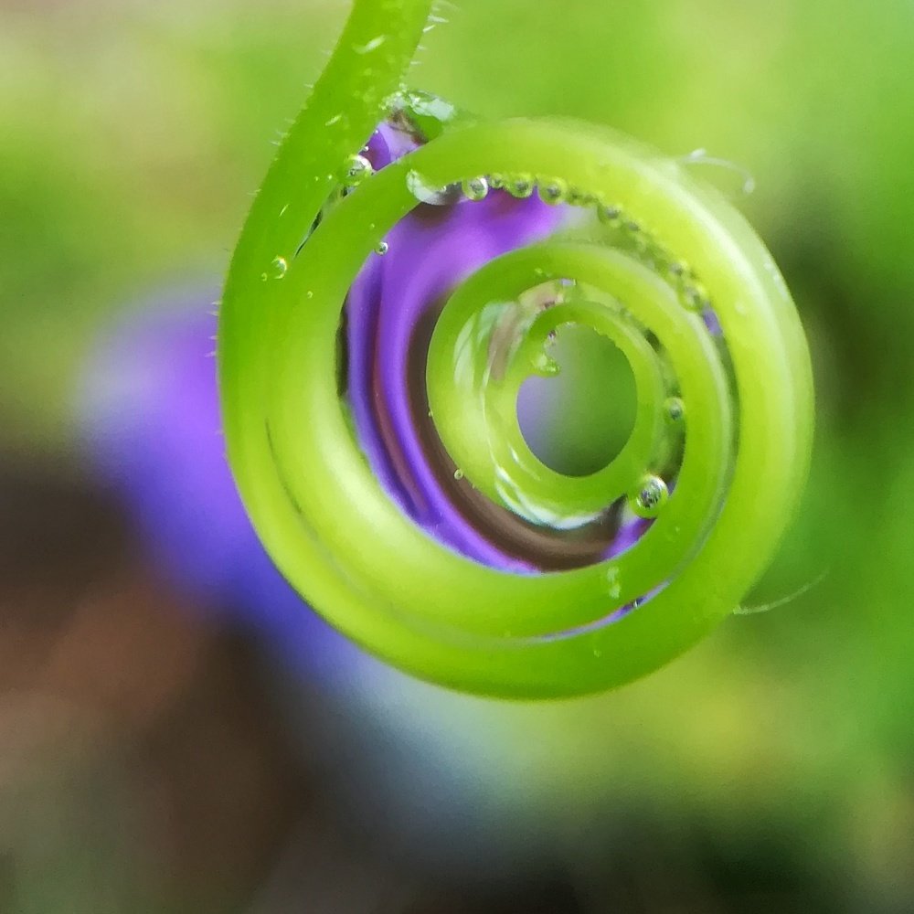 Photograph by Оксана Шевченко