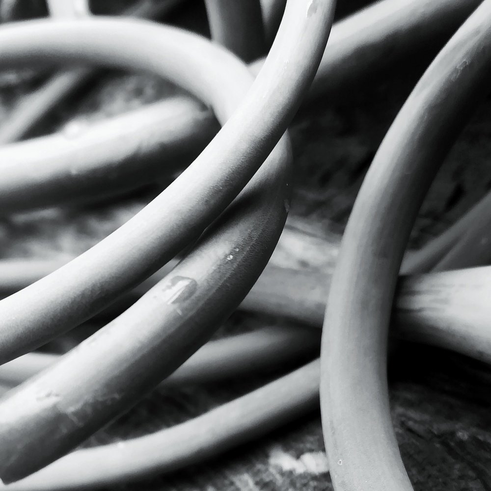 Стрелки чеснока (arrows of garlic)