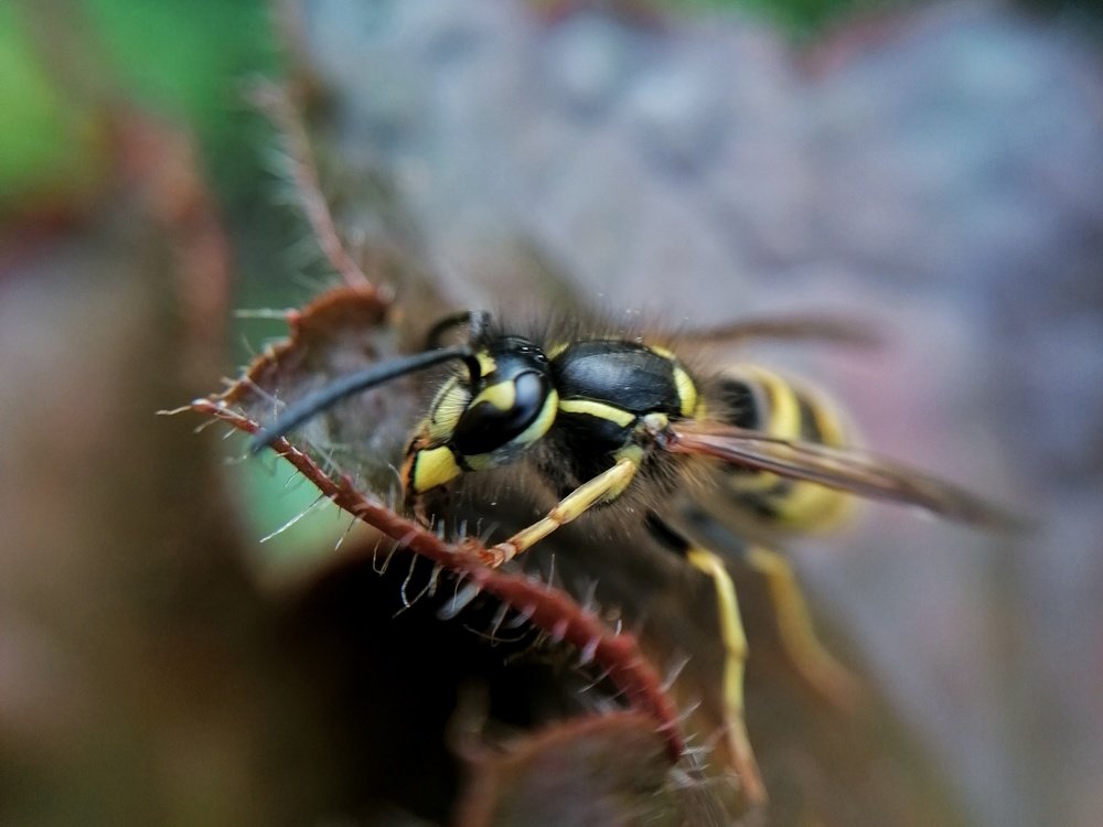 Photograph by Оксана Шевченко