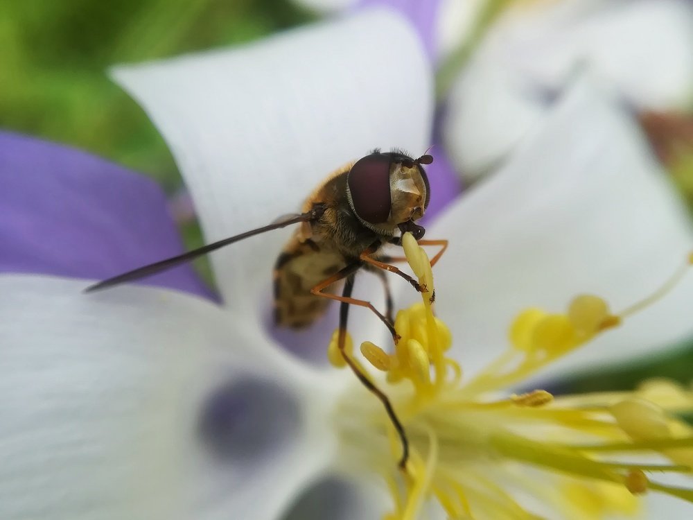 Photograph by Оксана Шевченко